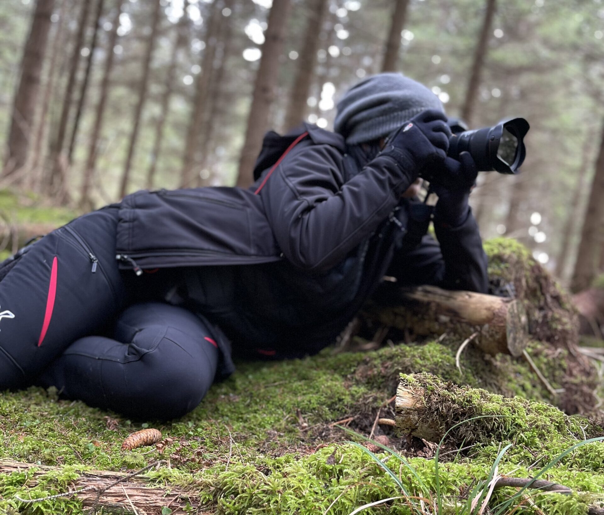 Naturfotografin liegt im Moos und fotografiert den Wald