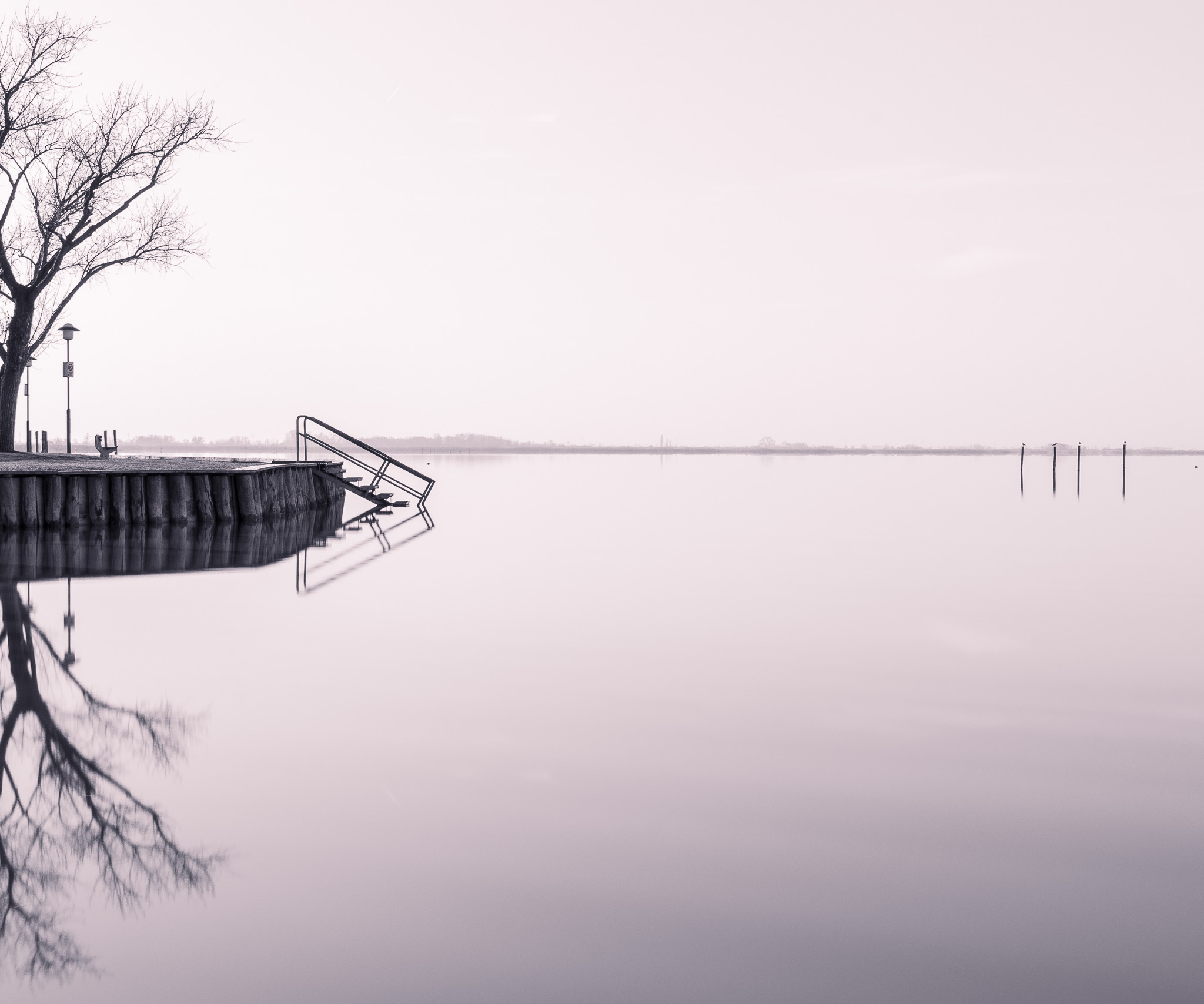 Minimalistischer Sonnenaufgang mit reflektierendem Baum und Steg am Neusiedler See
