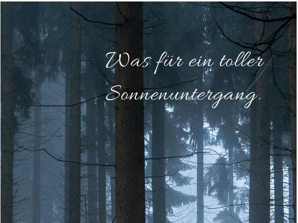 Nebliger Wald mit hohen, dunklen Baumstämmen. Gedämpftes, kühles Licht zwischen den Bäumen. Über dem Bild steht der Text „Was für ein toller Sonnenuntergang.“ Die Stimmung wirkt ruhig, geheimnisvoll und leicht irritierend, da kein sichtbarer Sonnenuntergang zu erkennen ist.